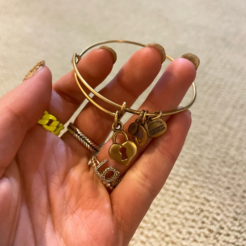 Alex and ani charm bracelet